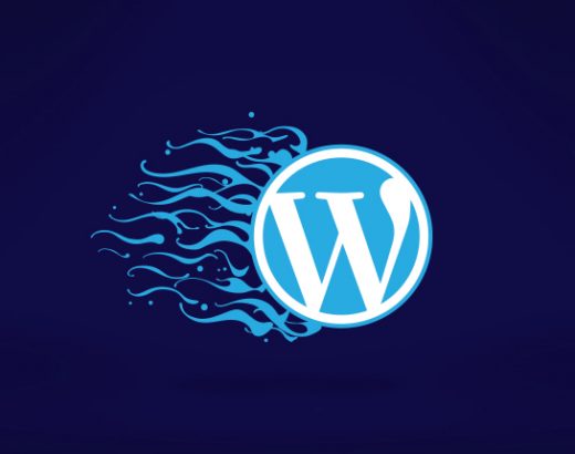 wordpress site hızlandırma